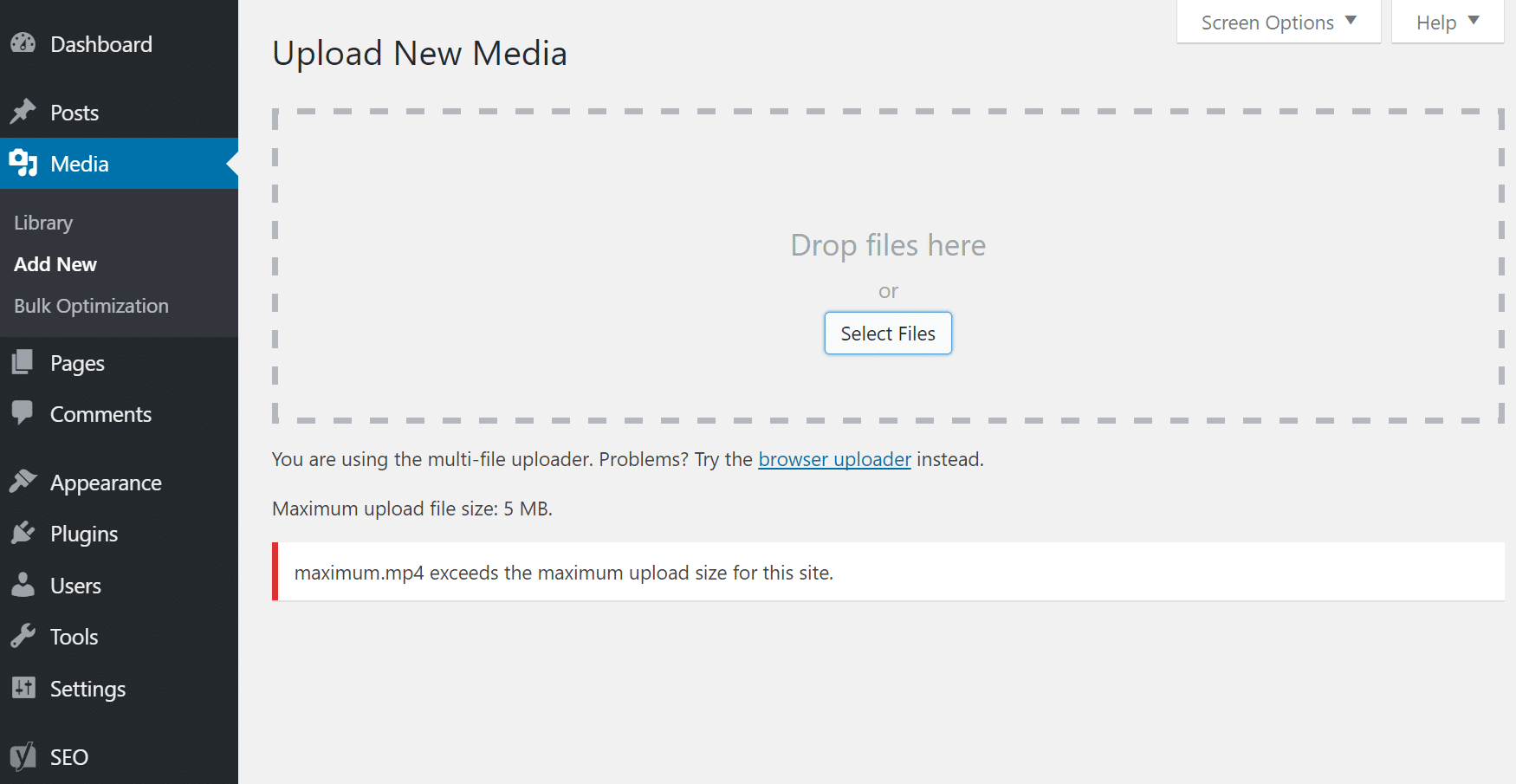 File exceeds the maximum upload size for this site